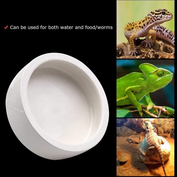 White Ceramic Reptile Food Dish - Picture 2 of 5